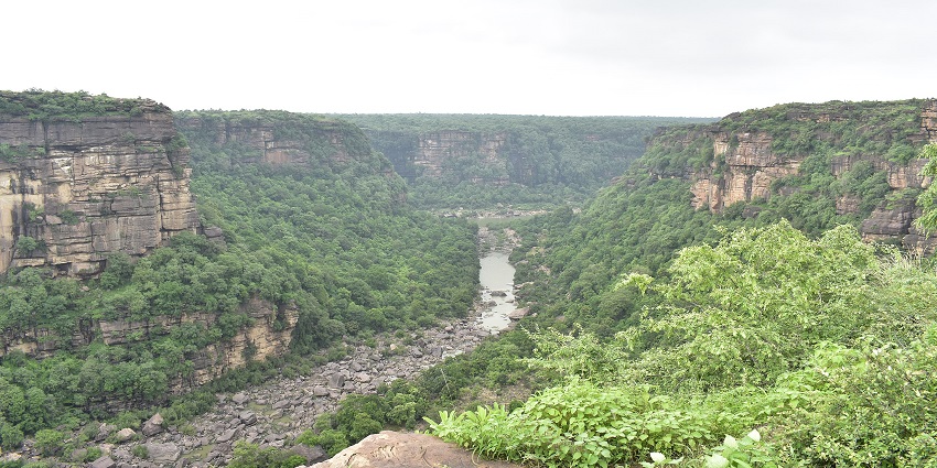 View of Chachai Waterfall in Rewa, showcasing the cascading water plunging down from a height amidst lush greenery.
