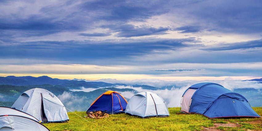 Camping in Kufri with multiple tents set up on a grassy field near a forest under a clear sky.