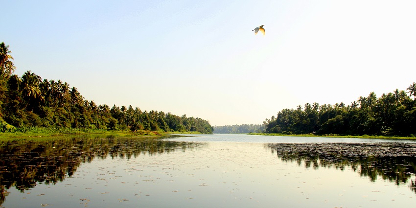 Chalakudy River is a top place for kayaking in Kerala with thrilling rapids and serene settings