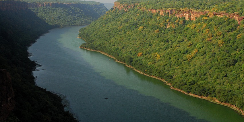 Chambal River Bank offers stunning views, boat rides, and birdwatching
