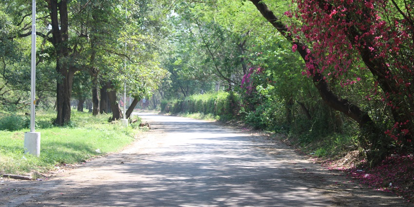 Chandigarh is one of the most amazing places for all travellers to visit and explore.