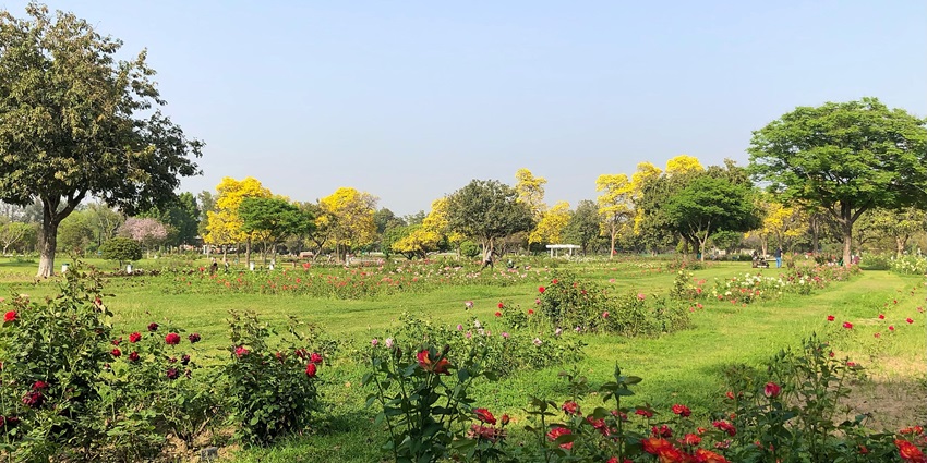 Friends admiring blooming roses at Chandigarh’s Rose Garden.