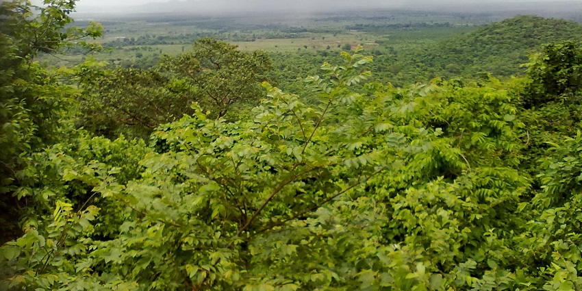 Chandikhol Forest is one of the best places near Mahavinayak Temple for nature lovers.