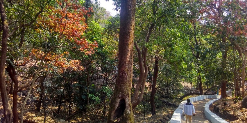 Chandikhol Picnic Spot is a popular destination for families and groups to enjoy a picnic.