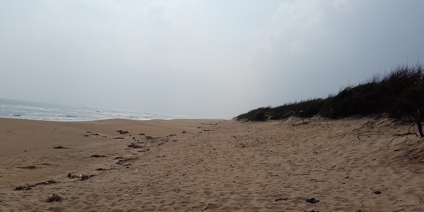 Chandrabhaga Beach is one of the scenic attractions near the Ramachandi Temple.