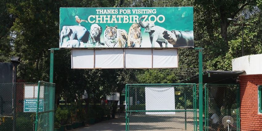 The entrance gate of the zoo amidst the greenery of the beautiful trees and vegetation