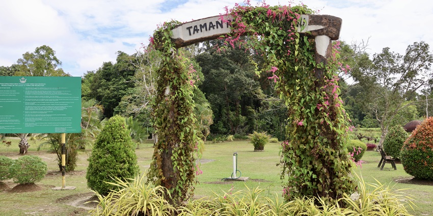 A picture of a quaint recreational park in Bathinda, surrounded by lush greenery