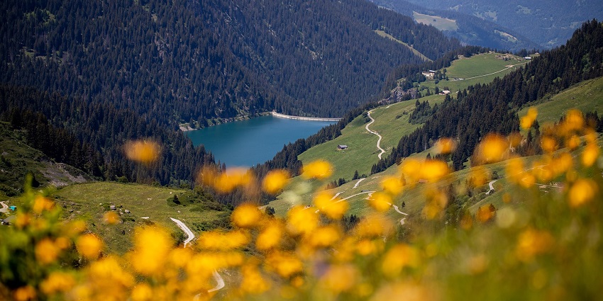 Expansive view of mountains, forest, and fields, with lush green trees and rolling terrain.