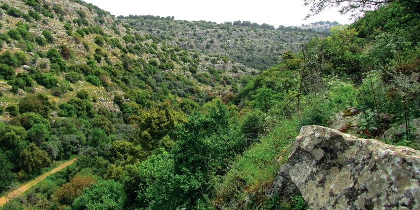 Chikmagalur is one of the best hill stations near Bangalore to visit in the summer.