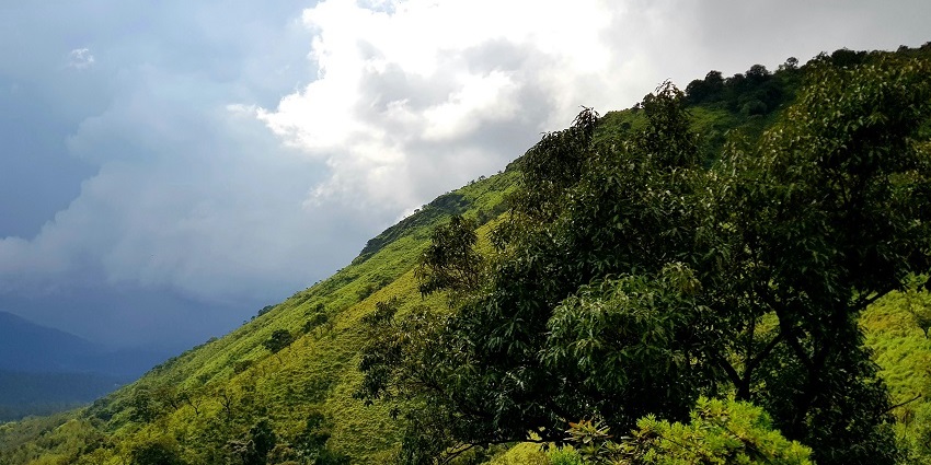 The lush trees, green-capped mountains, and tranquil scenery of the Chikmagalur.