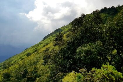 The hill stations in Chikmagalur in Karnataka with misty slopes, and verdant valleys.