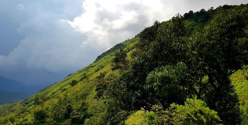 The hill stations in Chikmagalur in Karnataka with misty slopes, and verdant valleys.