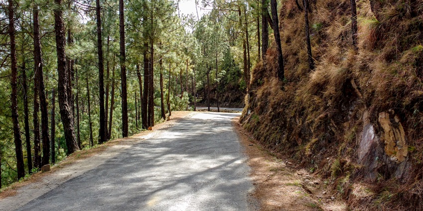Image of roadways from the hills with long trees and twisty road to Chindi