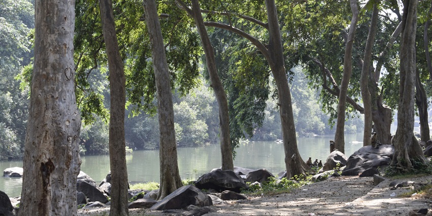 A breathtaking view of Chitrakoot with lush green trees all around during the daytime.