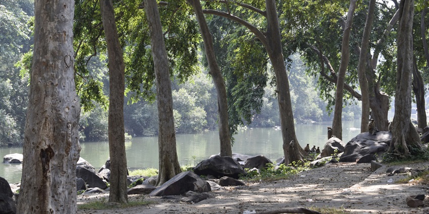 A quiet riverside view at Ramghat in Chitrakoot with boats, devotees and lush greenery.