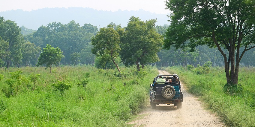 Safari in Chitwan National Park is ideal for exploring wildlife and camping in Nepal.