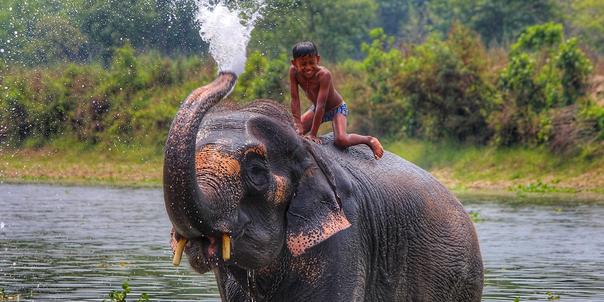 Chitwan National Park is a popular UNESCO World Heritage Site, located in Nepal.