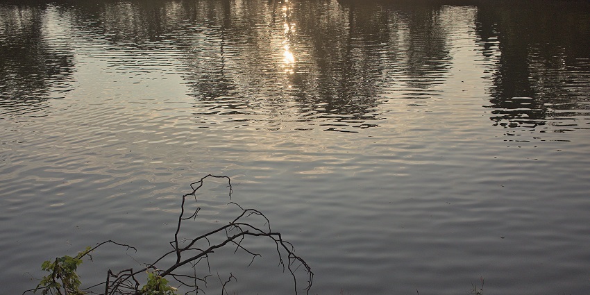 Chota Kashmir garden features a peaceful lake for boating.