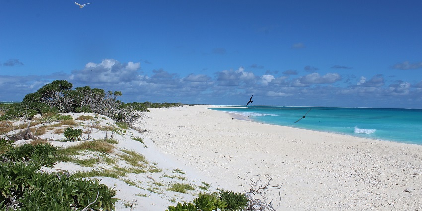 Panoramic view of the ocean and the golden sands from the beautiful Coco Beach