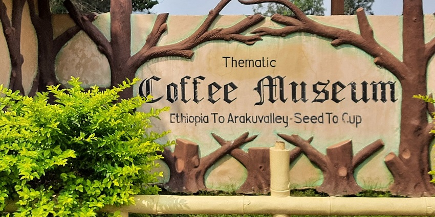 A picture of one of the best places to visit in Araku having multiple coffee plantations
