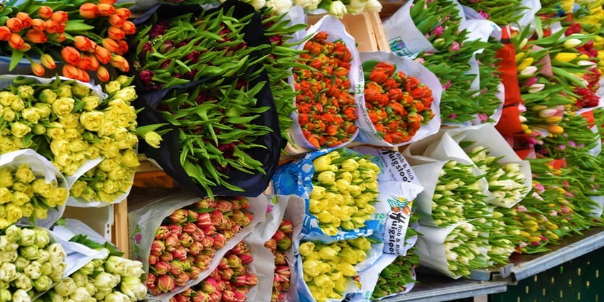 Quang Ba Flower Market is famous for its stunning array of flowers, from exotic orchids to traditional roses and lilies.