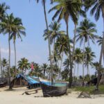 Snap shot of the beautiful Colva beach surrounded by Plam and coconut Trees