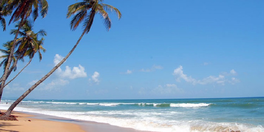 Colva Beach is a vibrant beach, offering the perfect escape into nature for relaxation.