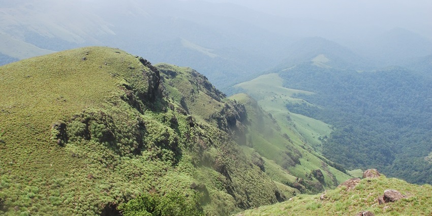 Coorg's lush highlands which makes it the best among the hill stations near Bangalore for a 2-day trip