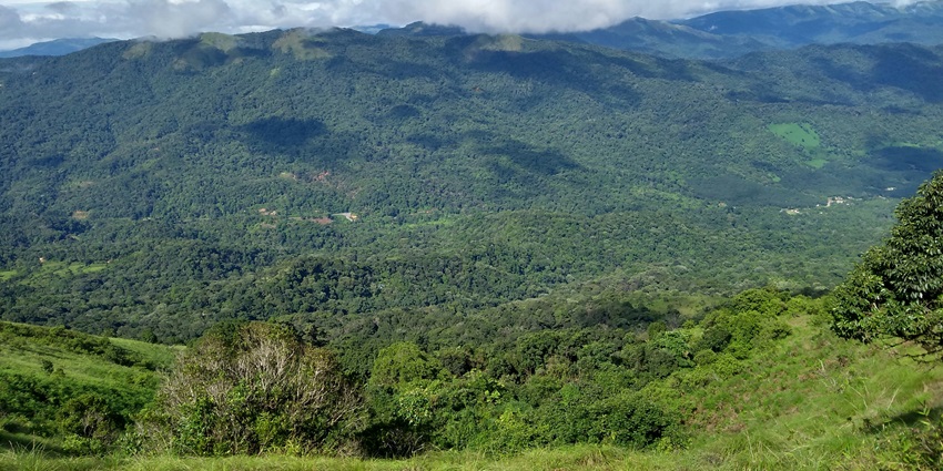 Gently sloping hill stations, blanketed in thick fog, with stunning vistas of the ghats.