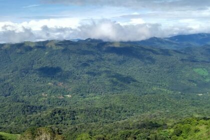 An enchanting vista of majestic mountains covered with lush greenery and misty blanket.