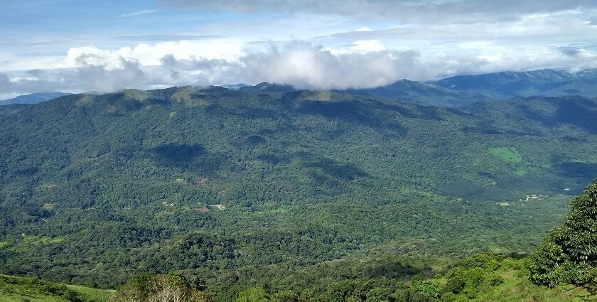 An enchanting vista of majestic mountains covered with lush greenery and misty blanket.