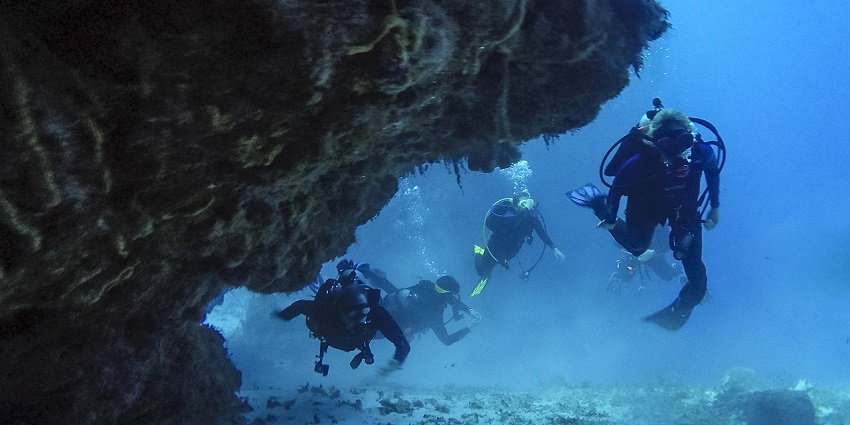 Scuba divers exploring a coral cave in surrounded by vibrant marine life.