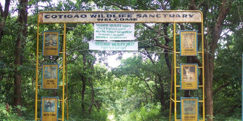 Snapshot of the entry area of Cotigao Wildlife Sanctuary covered with lush green Forest