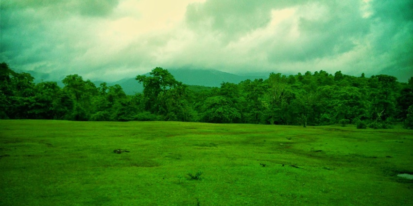 A picture of the Cotigao Wildlife Sanctuary with a vast blanket of greenery spread all around