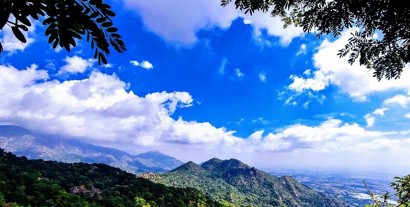 Mount Abu trekking features temples, lakes, and forests - Rajasthan's desert oasis