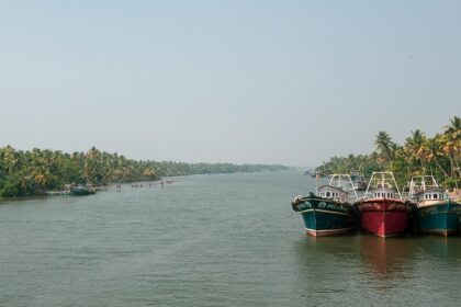 A picture of a boat sailing in a river with an island and greenery visible in the background at a distance