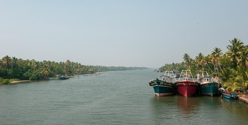 A picture of a boat sailing in a river with an island and greenery visible in the background at a distance