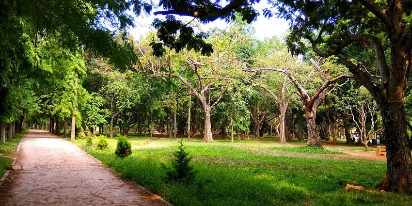 Pathway in the park, surrounded by trees, best place around Fun World Water Park.