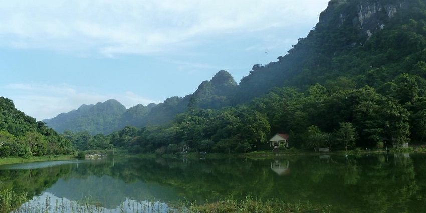 Cuc Phuong National Park’s lush rainforest and diverse wildlife, a natural attraction near Hanoi