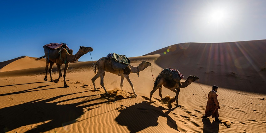 Enjoy Bikaner's desert safari with local traditions, crafts, and cuisine - desert Safari Bikaner