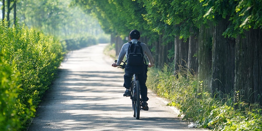 Man cycling on a path surrounded by green trees and grass.