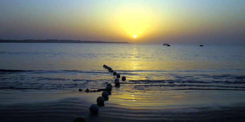 Dabhari Beach is one of the famous one day picnic places near Surat with crystal-clear waters.