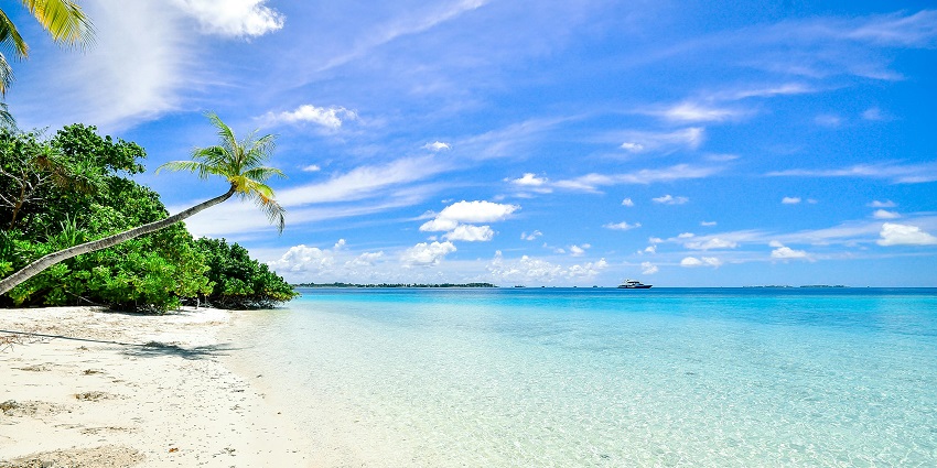Picturesque view of a view with clear blue sky and clear water and golden sand near palm trees