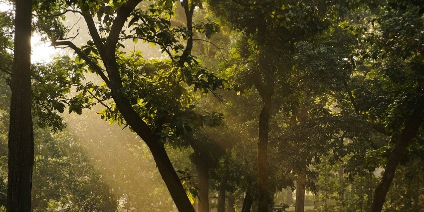 Dandeli is one of the most adventurous offbeat places in Karnataka for travellers 