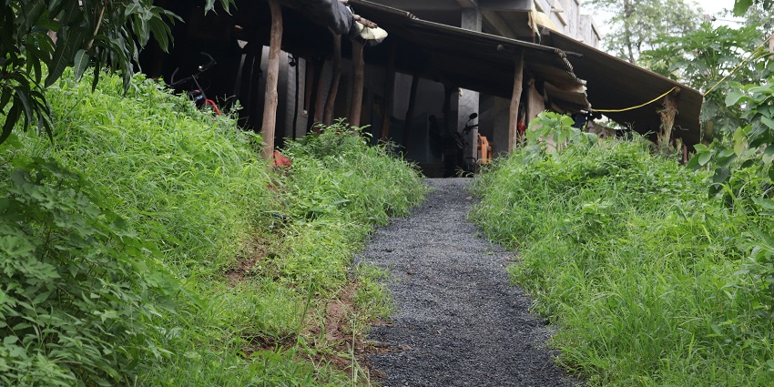 A stunning view of a path leading up to a wooden house surrounded by lush greenery.