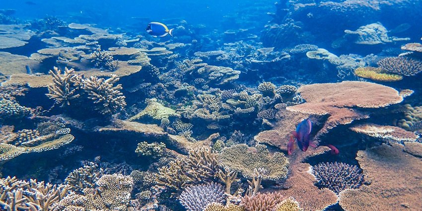 Datai Bay is one of the picturesque beaches on the island, perfect for water activities.