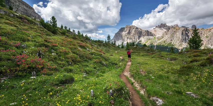 Enjoy David Scott Trail Trek is one of the most popular spots for trekking in Shillong.