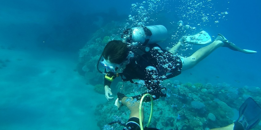 Davy Jones’s Locker is an excellent place for scuba diving in South Goa