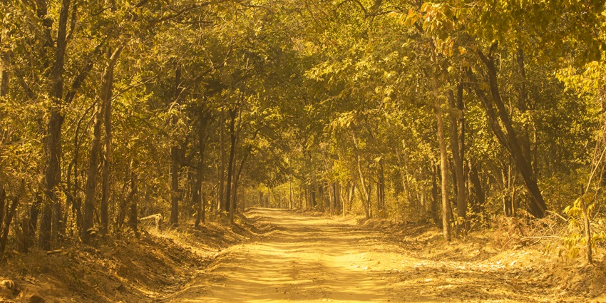 Beautiful view of Debrigarh wildlife sanctuary near Ushakothi wildlife sanctuary.