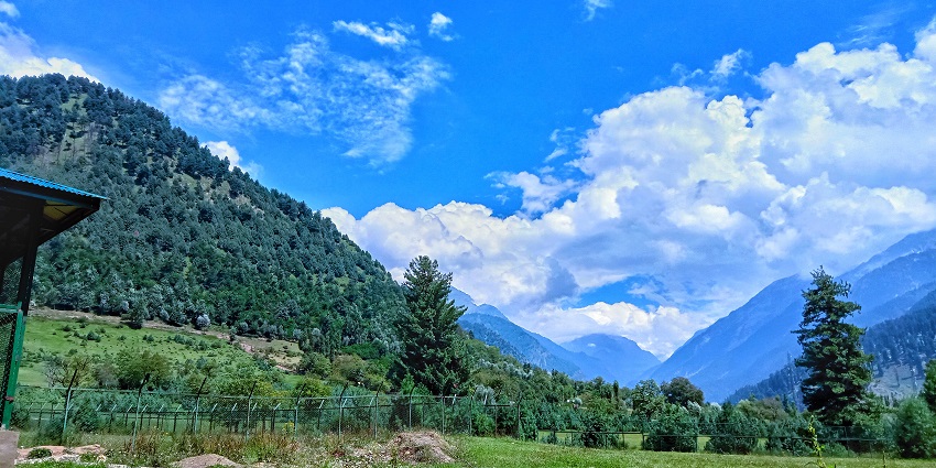 Debrigarh Wildlife Sanctuary
ALT Text: Debrigarh Wildlife Sanctuary is home to diverse flora and fauna to explore on your trip.